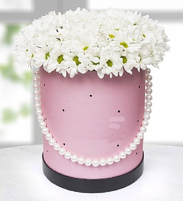 İncili Kutuda Papatya